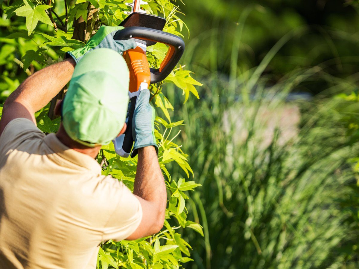 Entretien de jardin et crédit d’impôt
