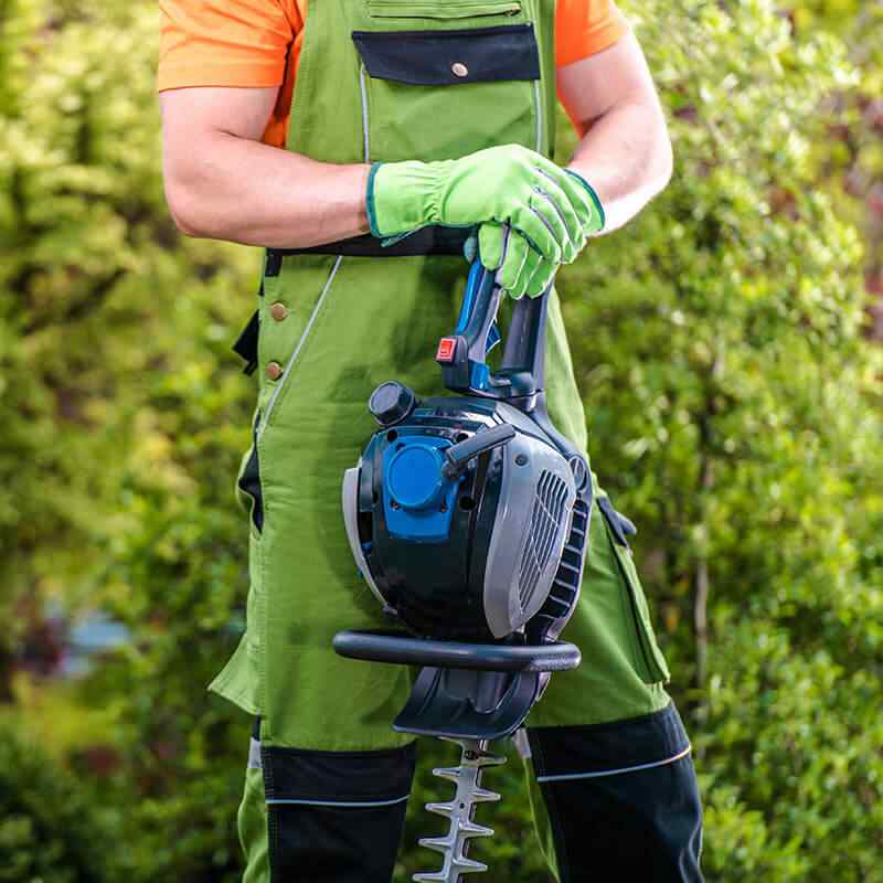 https://naturalizee.fr/wp-content/uploads/2019/08/home_4_services.jpg