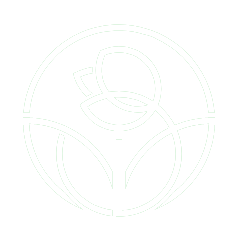 https://naturalizee.fr/wp-content/uploads/2019/08/white_rose.png