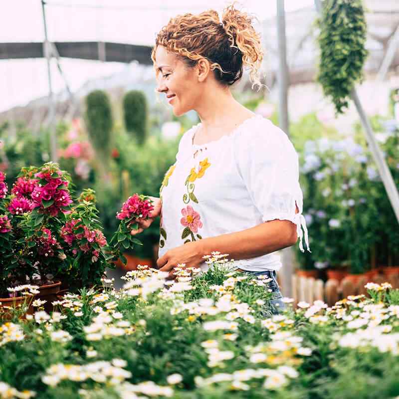 https://naturalizee.fr/wp-content/uploads/2019/09/card_24.jpg