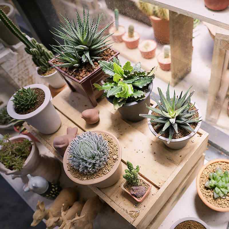 https://naturalizee.fr/wp-content/uploads/2019/09/card_28.jpg