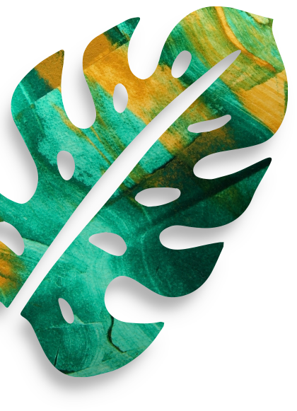 https://naturalizee.fr/wp-content/uploads/2019/10/floating_leaf_03.png