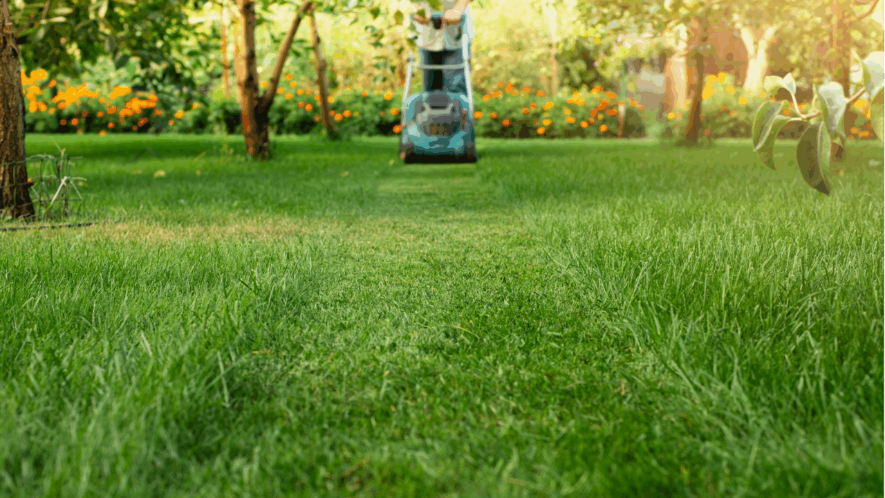 Préparer son jardin pour le printemps : les étapes clés pour un extérieur resplendissant