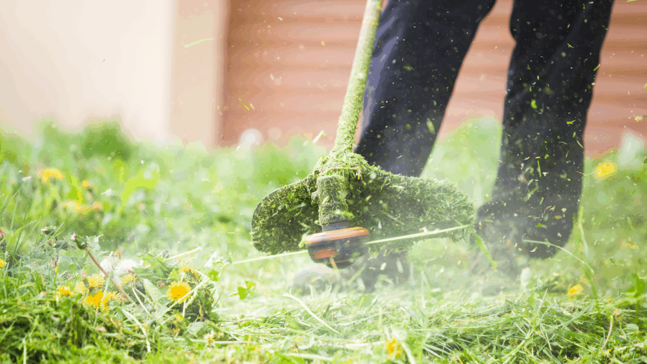 Entretien de jardin en été : nos conseils pour survivre à la sécheresse