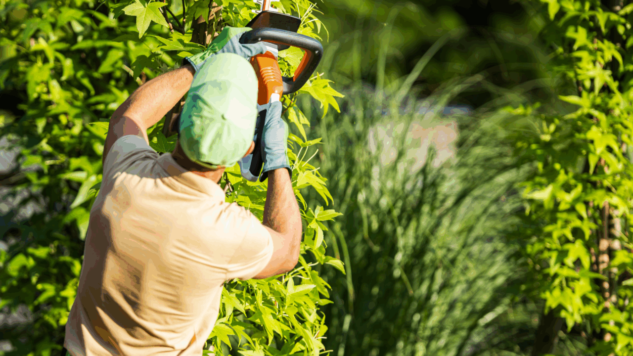 Pourquoi confier l’entretien de votre jardin à un professionnel ?