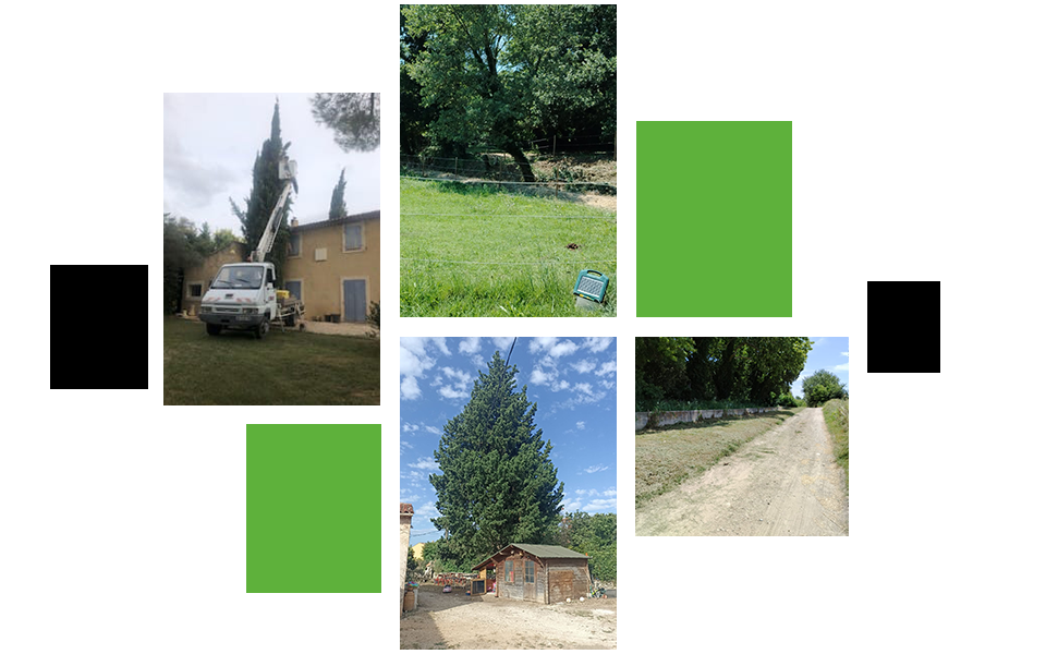 https://naturalizee.fr/wp-content/uploads/2026/06/Travaux-damenagement-paysager-chez-M-Toiture-a-Avignon-copie.webp